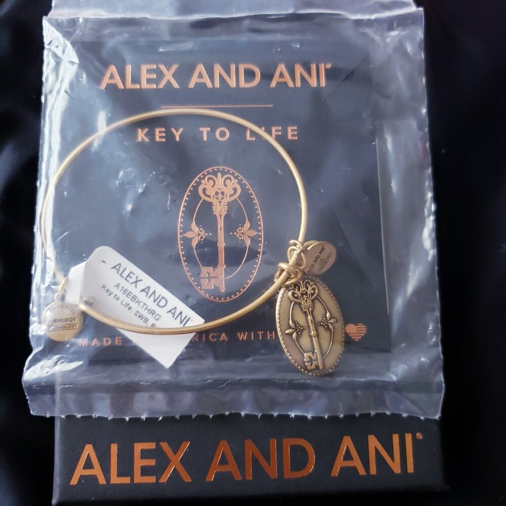 🆕 Alex and Ani Key to Life Bracelet    529